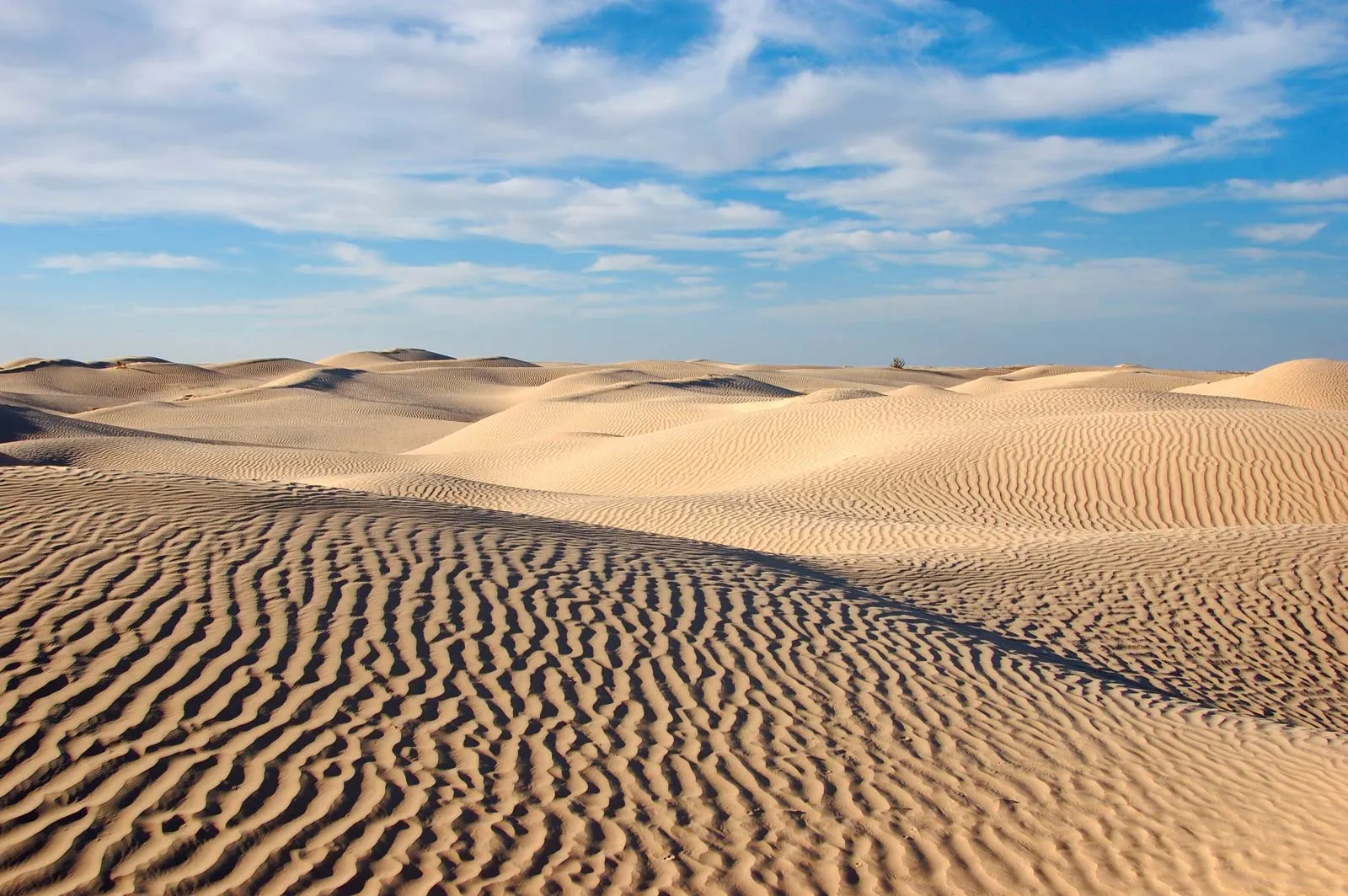 A vast desert with clear skies - (Credits Britannica)