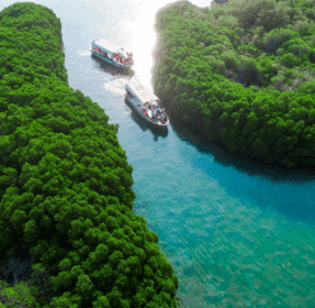 Saudi Tourism Boom: Hidden Gems You Need to Visit Before They Get Crowded