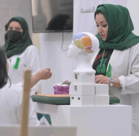 Mental Health Therapy in Saudi Arabia — A Cultural Shift in Progress 