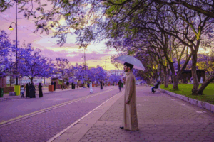 Escape the Heat in Cool-Weather Destinations in Saudi Arabia for Eid al-Adha 2025 
