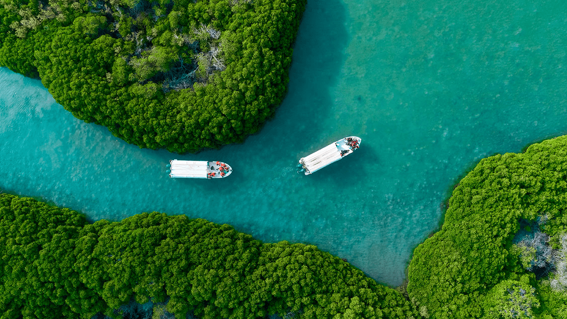 Turquoise waters, unspoiled beaches, and world-class diving – the Farasan Islands have it all for Summer activities for children – (Credits: VisitSaudi)