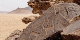 Step Back in Time at These Heritage Sites in Ha'il 