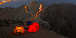 Your Ultimate Guide to the Best Things to Do in Taif