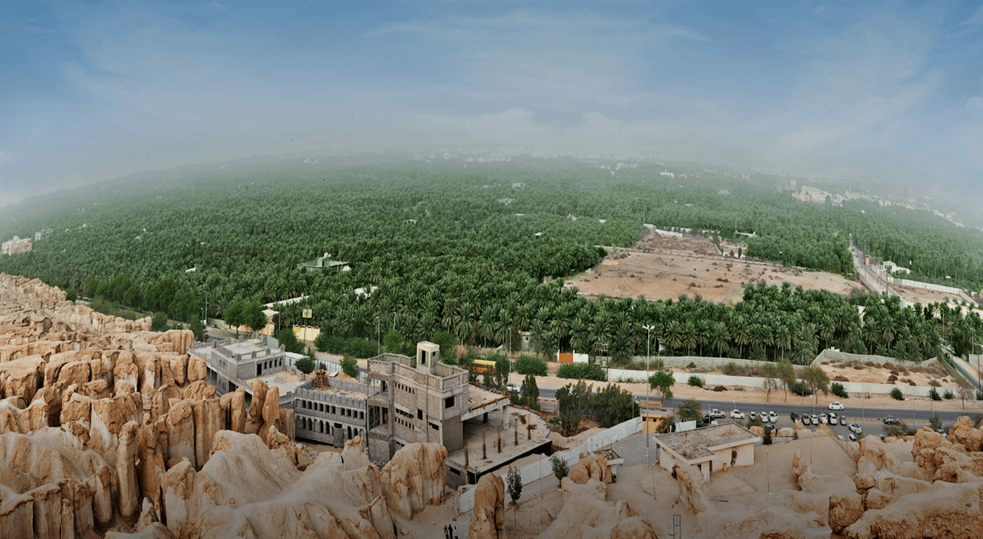 Palm-shaded pathways and whispering springs — the desert’s green miracle. – (Credits: UNESCO)